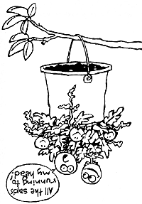 Skin Small Animals with a Hand Pump, Sixteen Uses for Old Tires, a Honey Candy Recipe, and More Country Lore Image